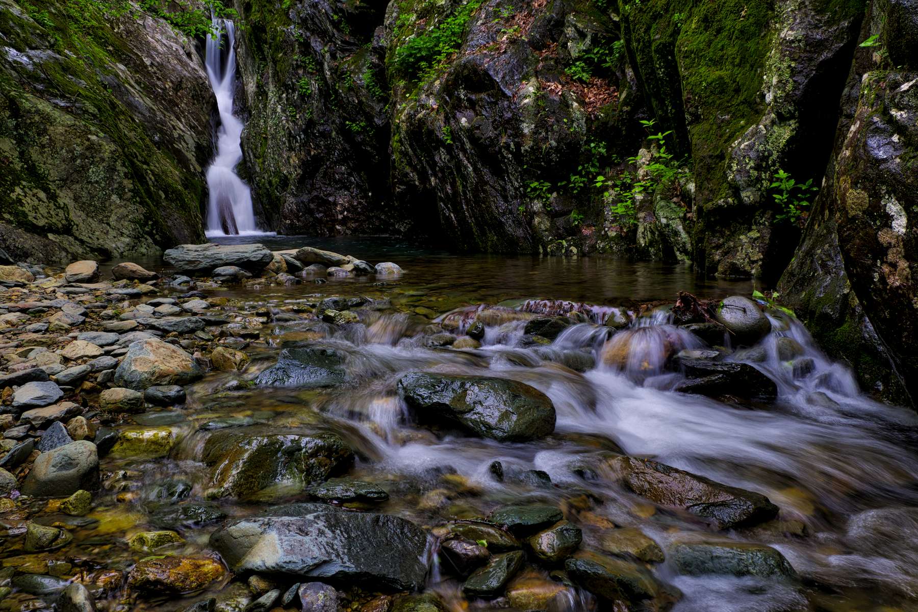 Cedar Run Falls