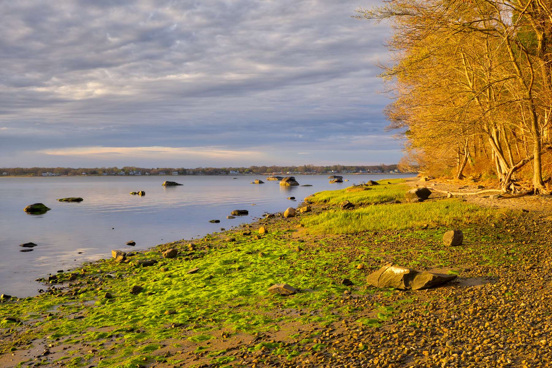 Goddard State Park