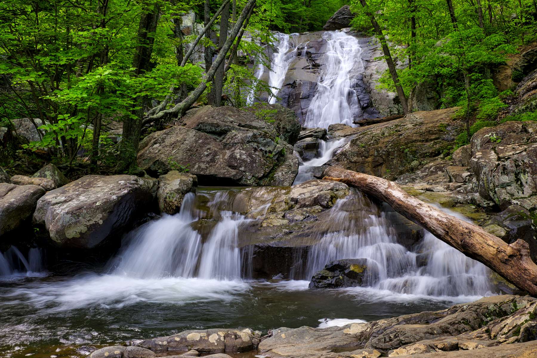 Lower White Oak Falls