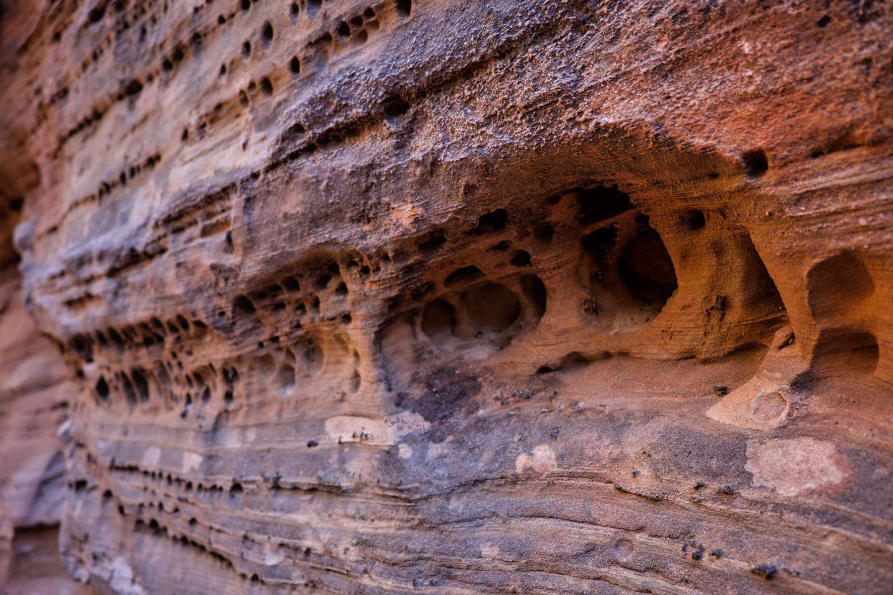 Capitol Reef