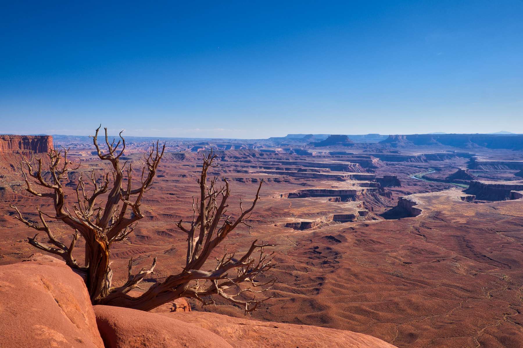 Grand View Point