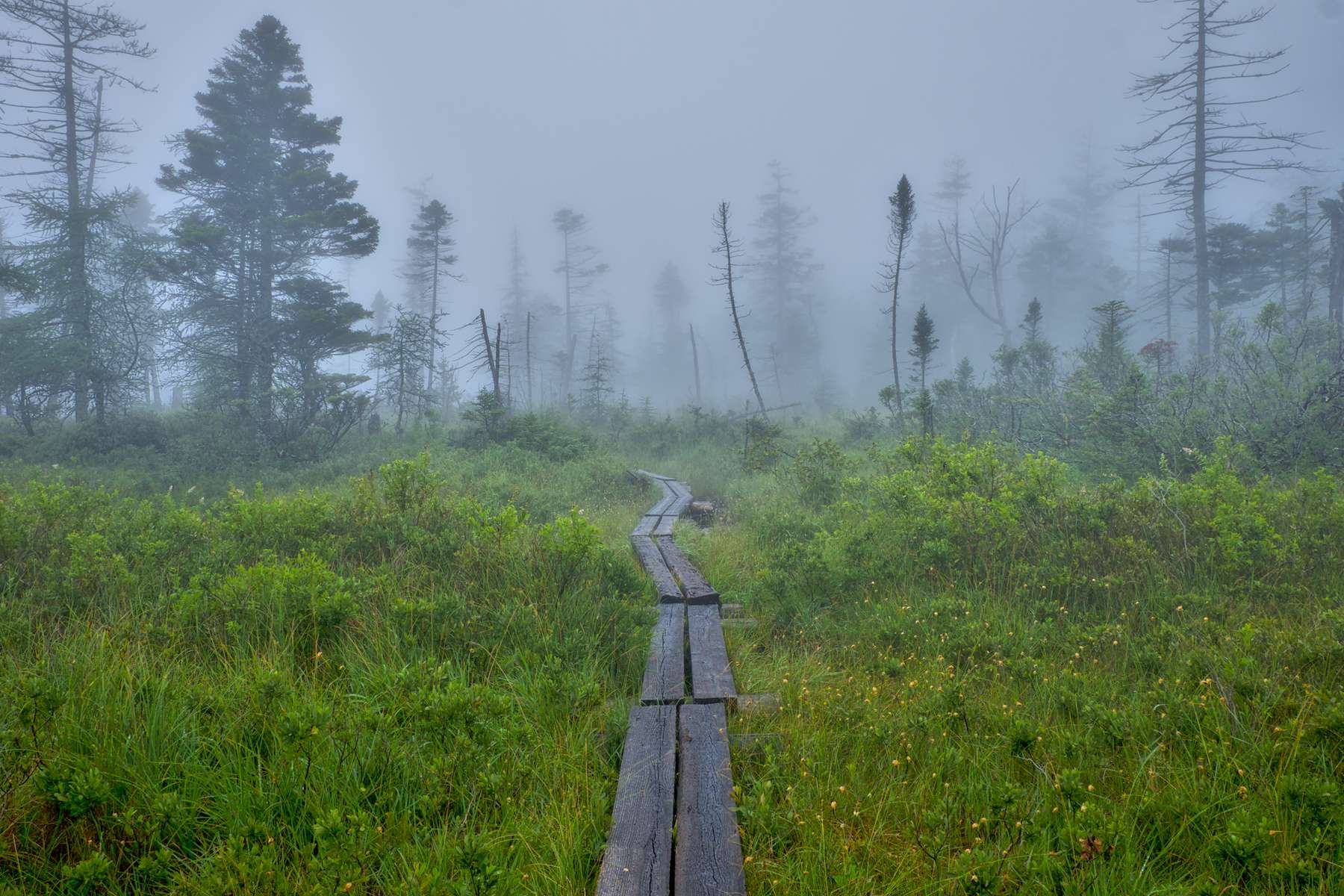 Lonesome Lake