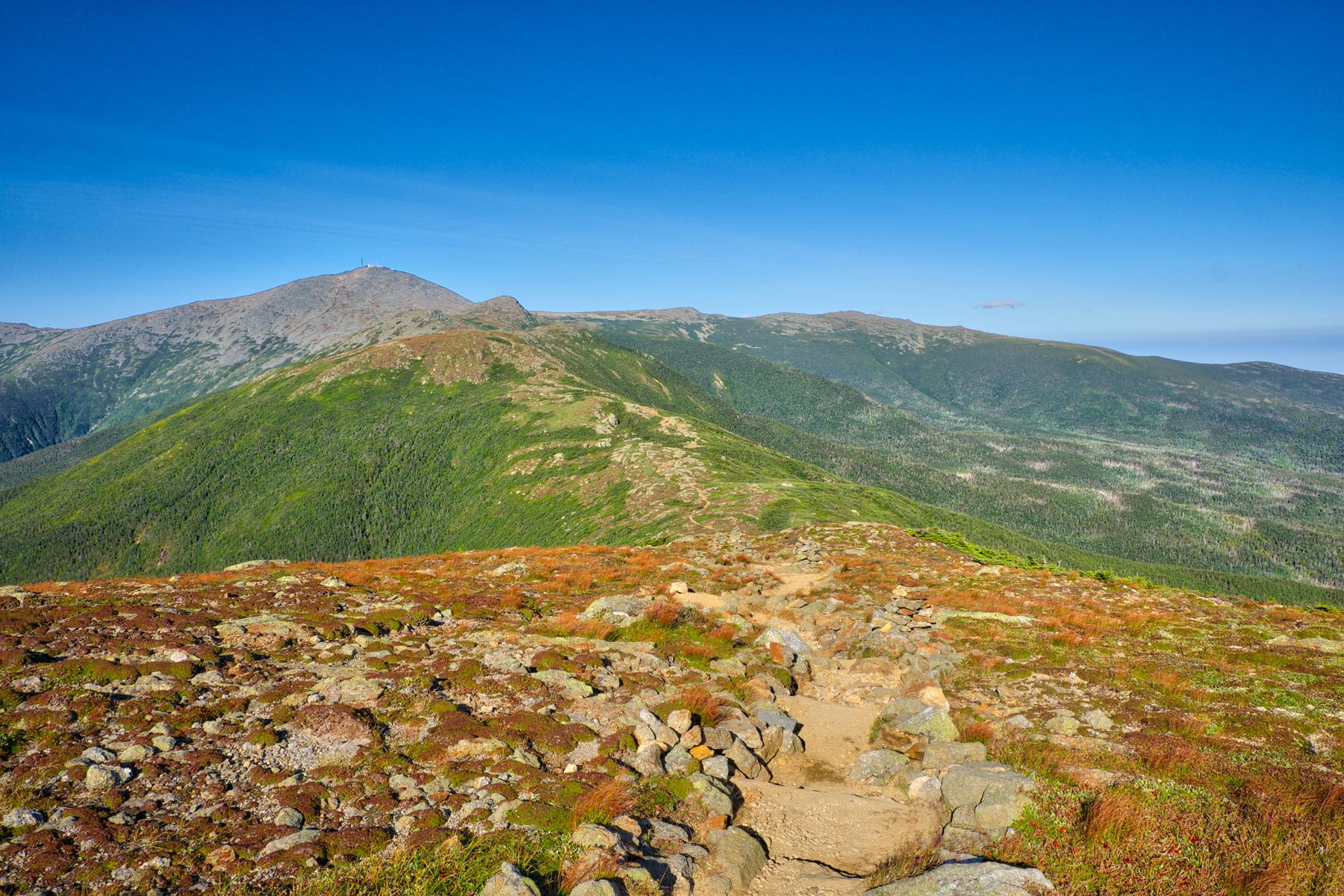 Mt Eisenhower